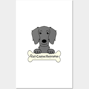 Flat-Coated Retriever Posters and Art